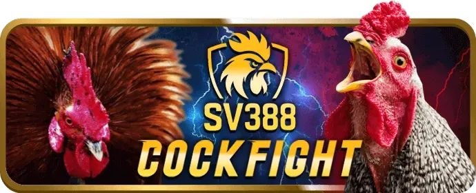 Chương trình hoàn trả và Cashback 1xbetvi